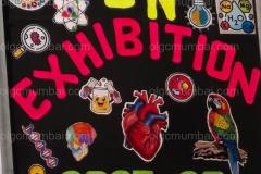 Exhibits displayed by the teachers and students of OLGC at the Science exhibition centre